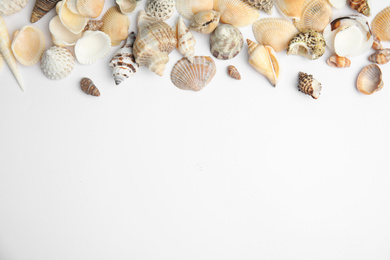 Different beautiful sea shells on white background, top view