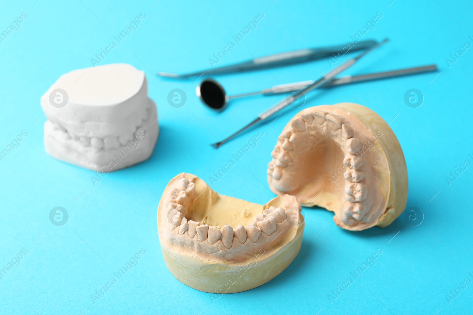 Photo of Dental models with gums and dentist tools on light blue background. Cast of teeth
