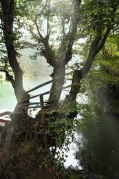 Photo of Beautiful view on trees and river in park