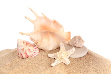 Photo of Sand with many beautiful sea star, seashells and stone isolated on white