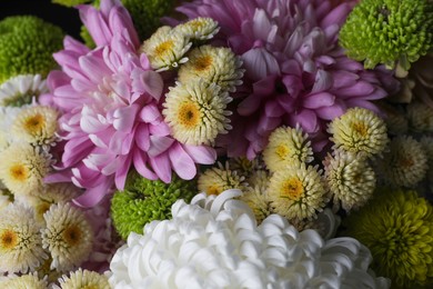 Photo of Beautiful tender chrysanthemum flowers as background, top view