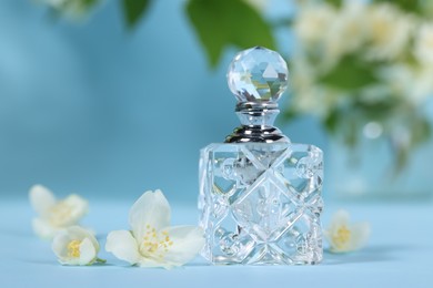 Aromatic perfume in bottle and beautiful jasmine flowers on light blue background, closeup