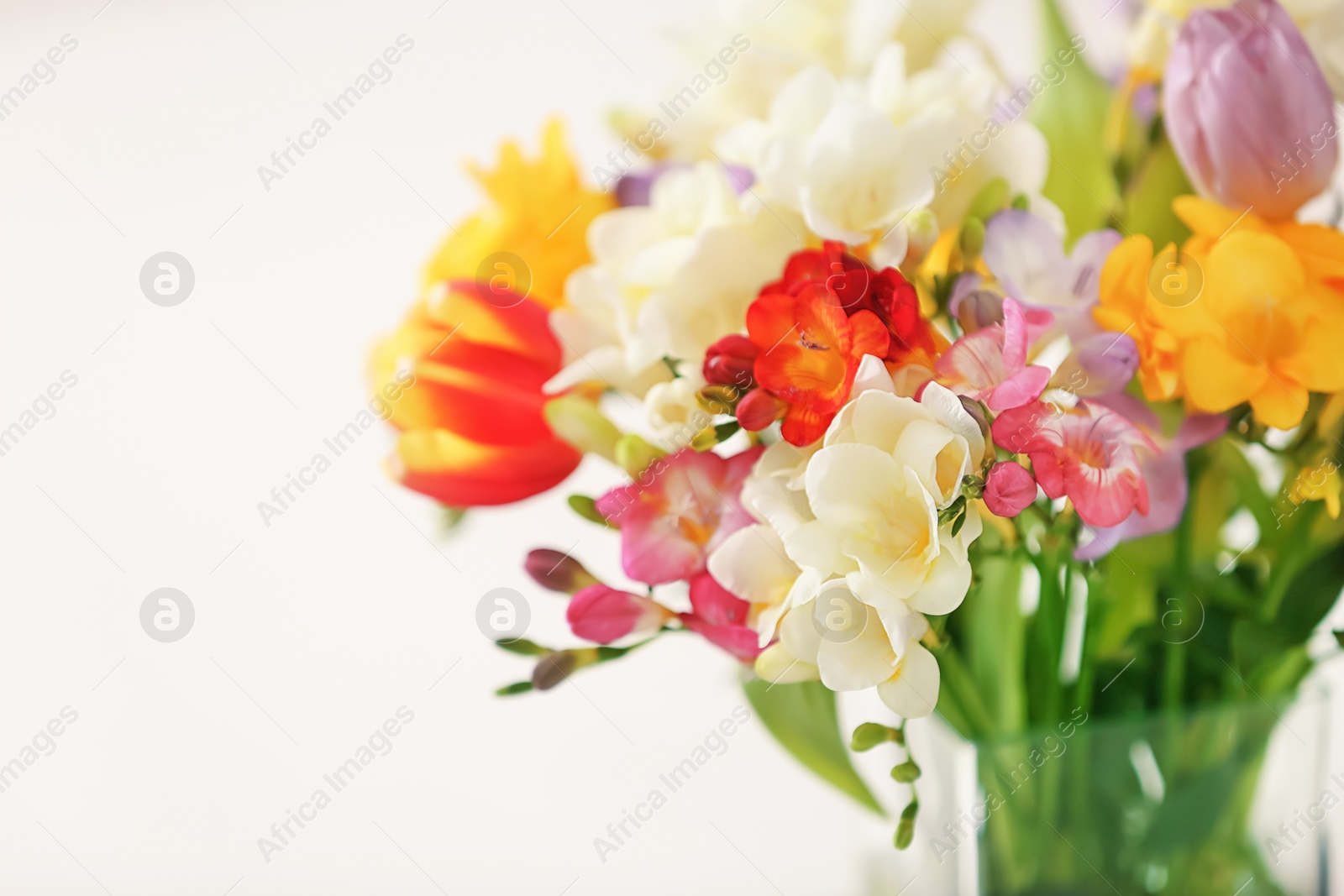 Photo of Beautiful bouquet of freesia flowers on light background