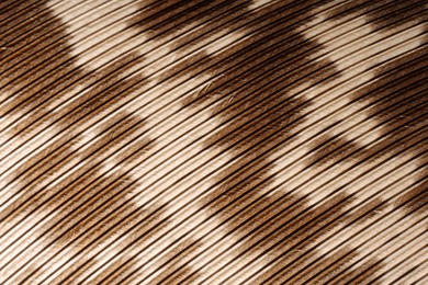 Texture of bird feather as background, closeup