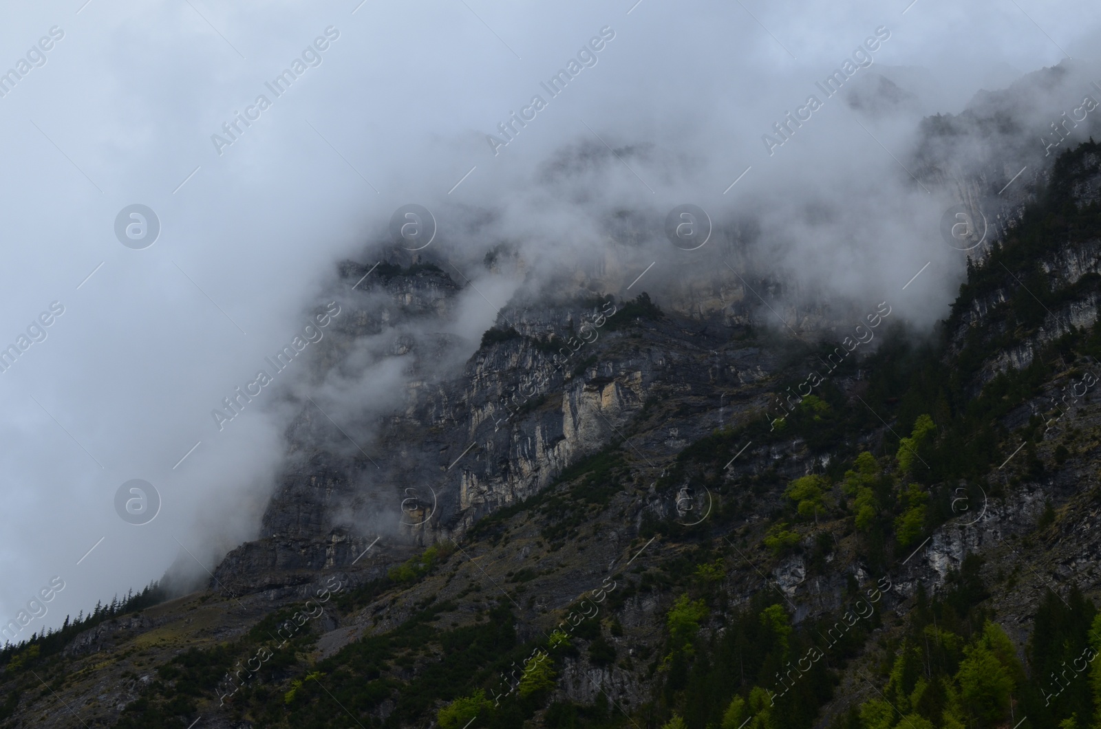 Photo of Picturesque view of mountains covered with fog