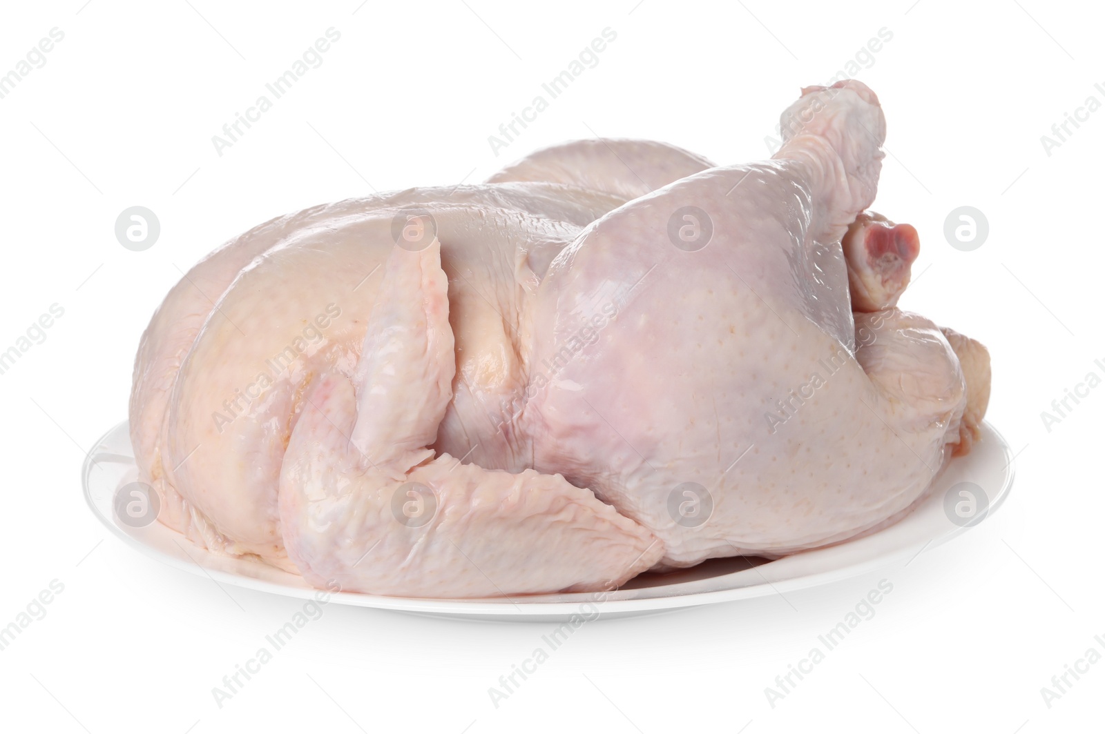 Photo of One fresh raw chicken isolated on white