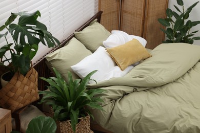 Comfortable bed and beautiful green houseplants in bedroom