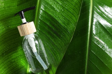 Bottle of cosmetic product on wet green leaves, top view. Space for text