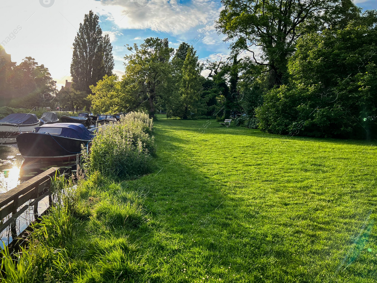 Photo of Picturesque view of beautiful park with fresh green grass and trees near canal on sunny day