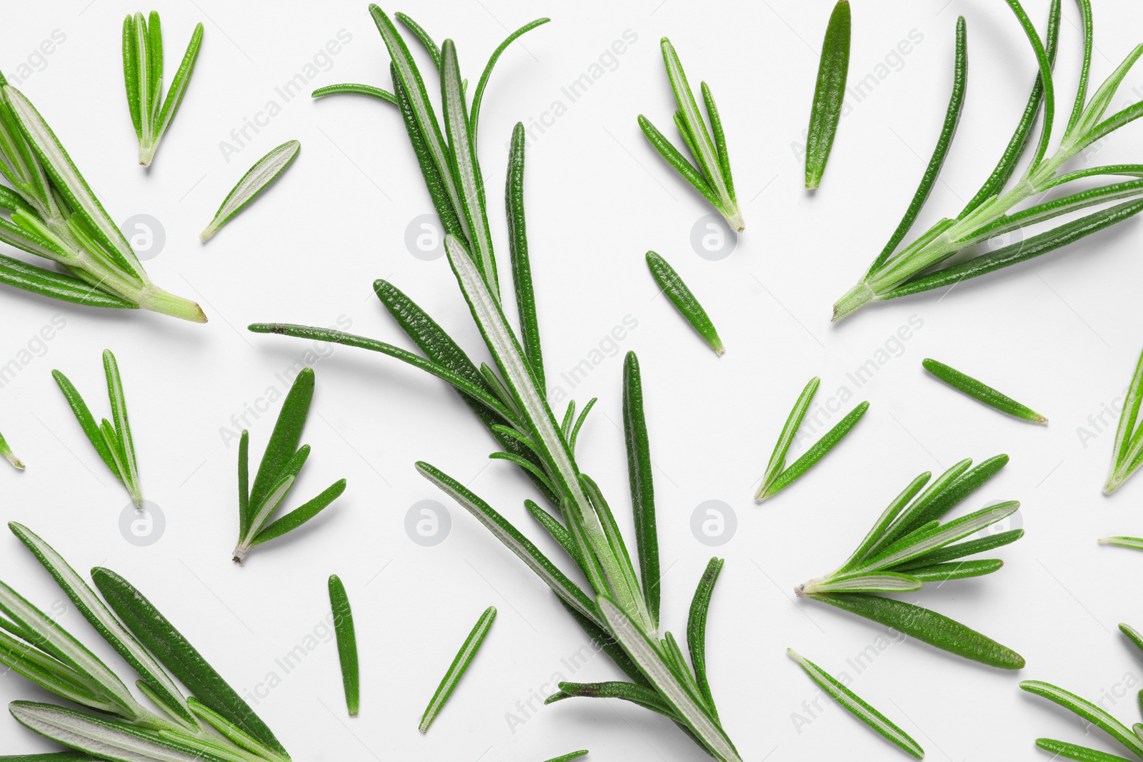 Photo of Sprigs of fresh rosemary on white background, flat lay