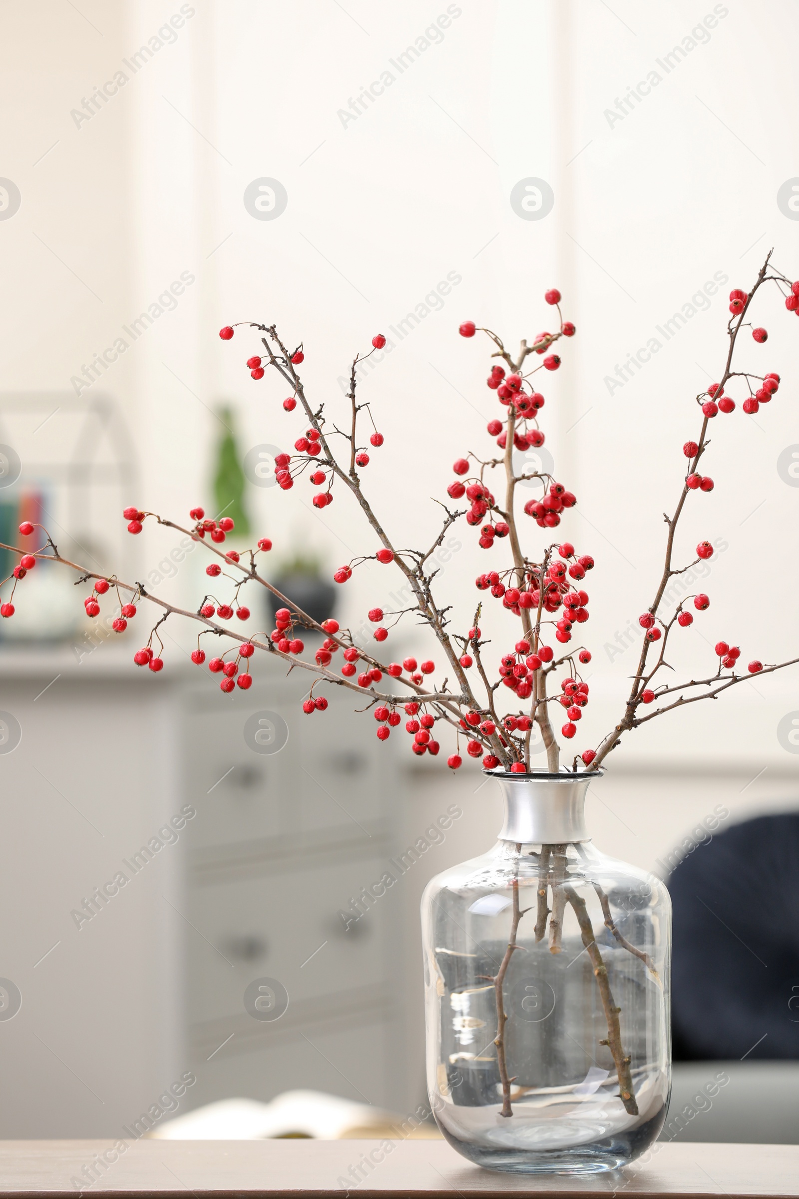 Photo of Hawthorn branches with red berries in vase on table indoors