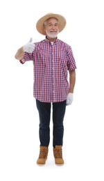 Photo of Harvesting season. Happy farmer showing thumb up on white background