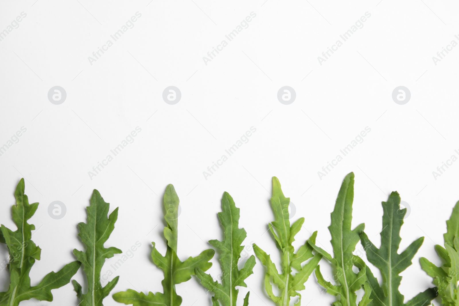 Photo of Fresh arugula on white background, flat lay. Space for text