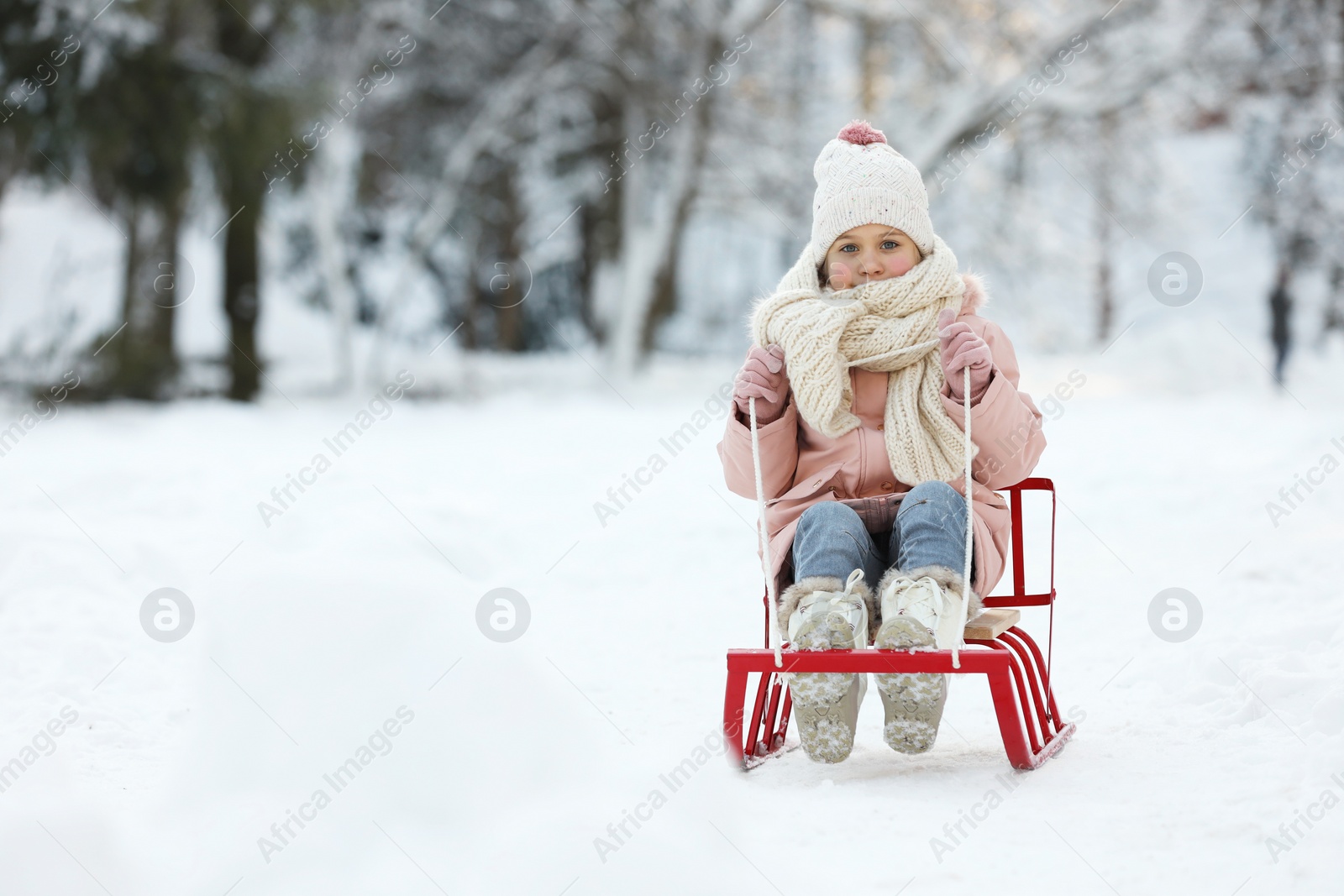 Photo of Cute little girl enjoying sledge ride through snow in winter park, space for text