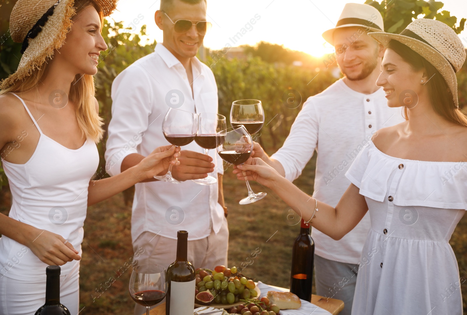 Photo of Friends clinking glasses of red wine in vineyard