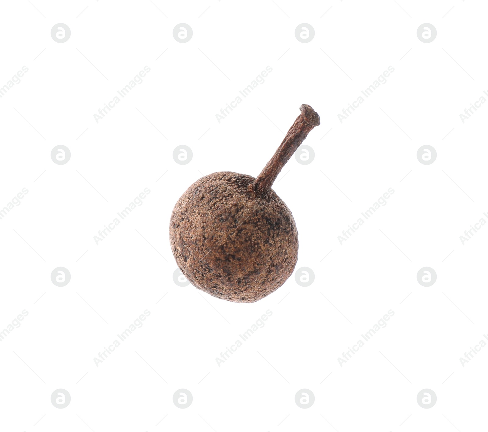 Photo of Spicy black pepper grain isolated on white