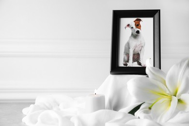 Photo of Pet funeral. Frame with picture of dog, burning candle and lily flower on white cloth, closeup. Space for text.