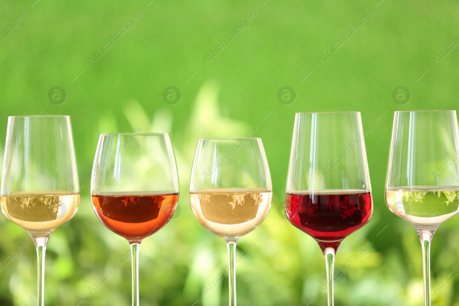 Photo of Row of glasses with different wines against blurred background