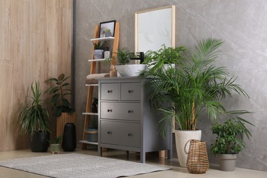 Modern bathroom interior with stylish vessel sink and beautiful green houseplants