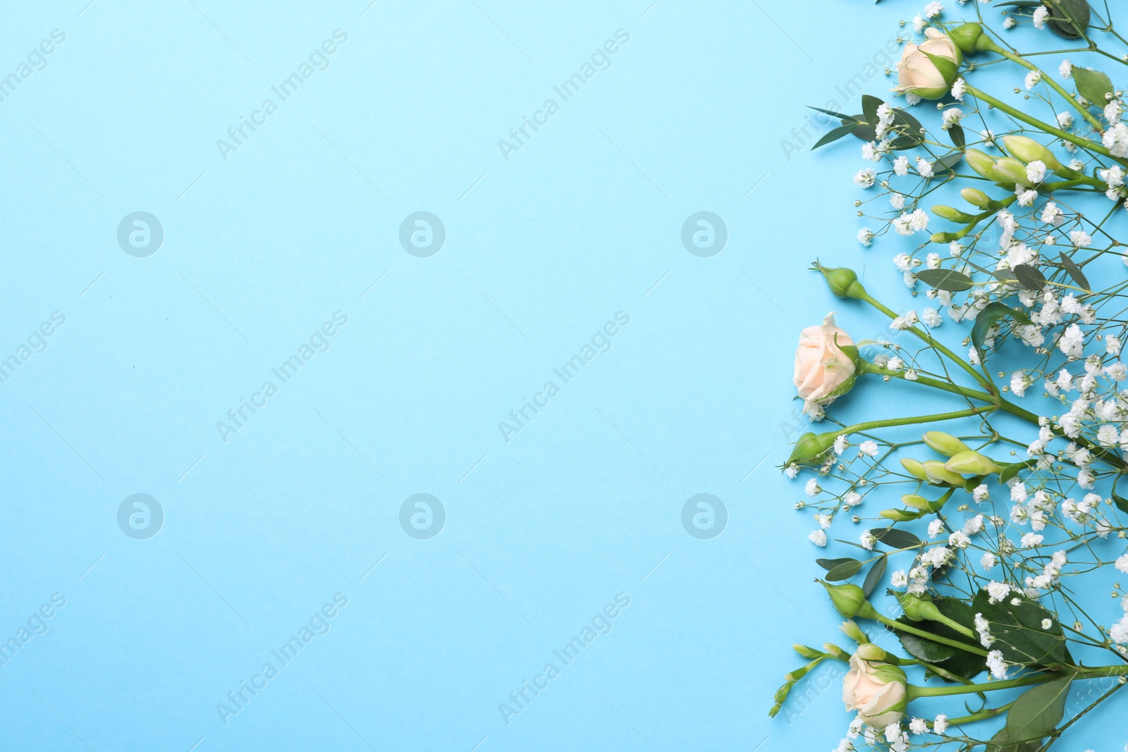 Photo of Beautiful floral composition with gypsophila and roses on light blue background, flat lay. Space for text