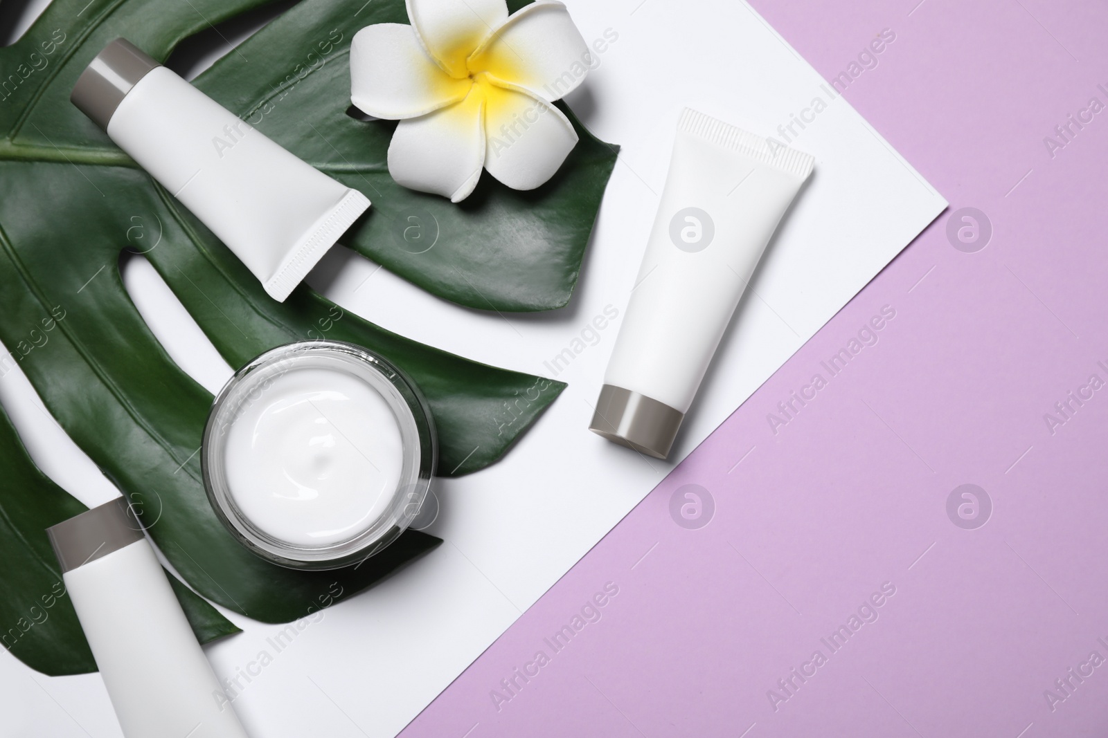 Photo of Different cosmetic products and flower on lilac background, flat lay. Space for text