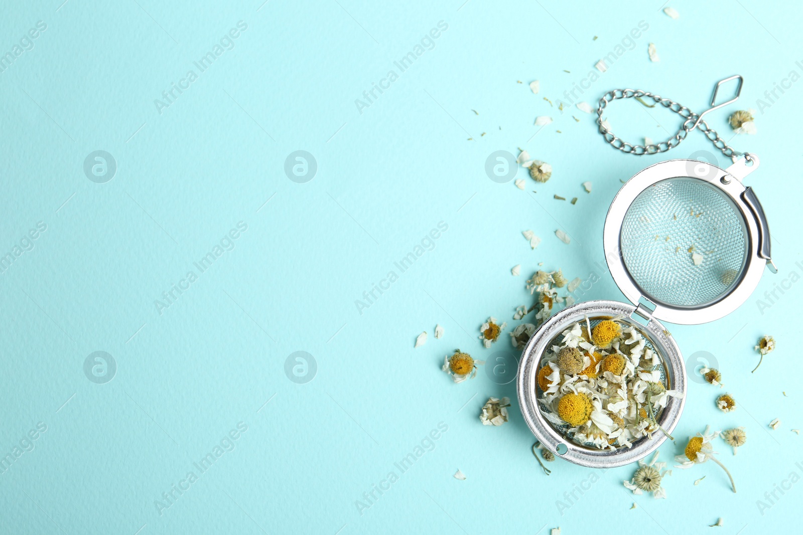 Photo of Dry chamomile flowers in infuser on light blue background, flat lay. Space for text