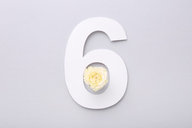 Paper number 6 and beautiful flower on light grey background, top view