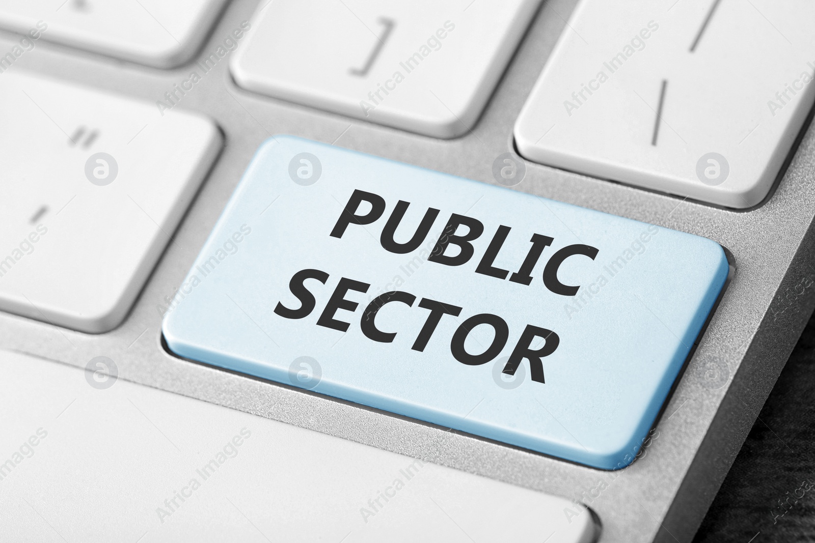 Image of Light blue button with text Public Sector on computer keyboard, closeup