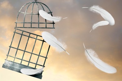 Image of Freedom. Feathers of released bird and open cage into sky