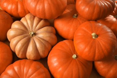 Many ripe orange pumpkins as background, closeup