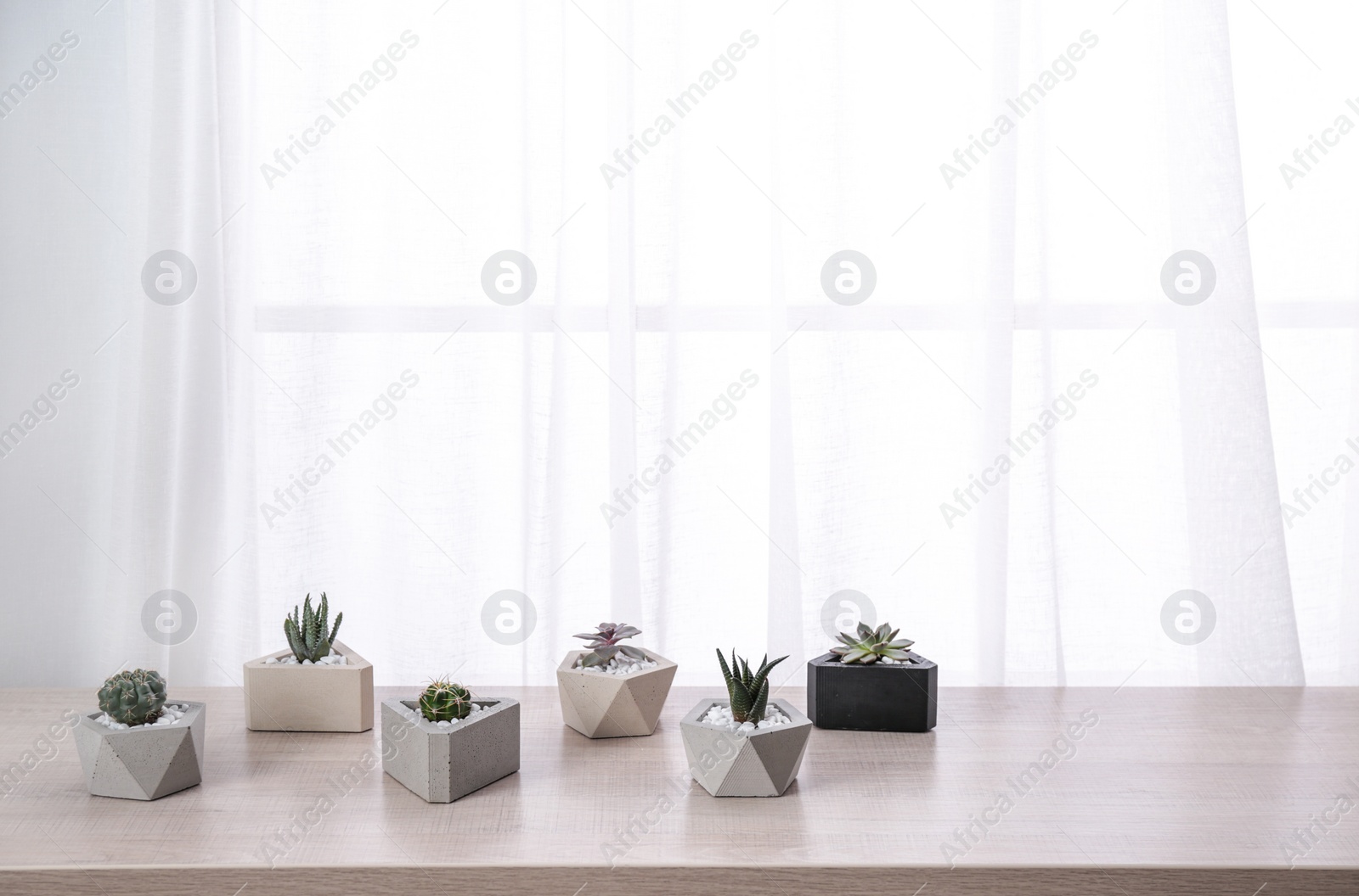 Photo of Different plants in pots on window sill, space for text. Home decor