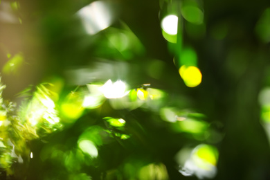 Abstract nature green background with sun rays, bokeh effect