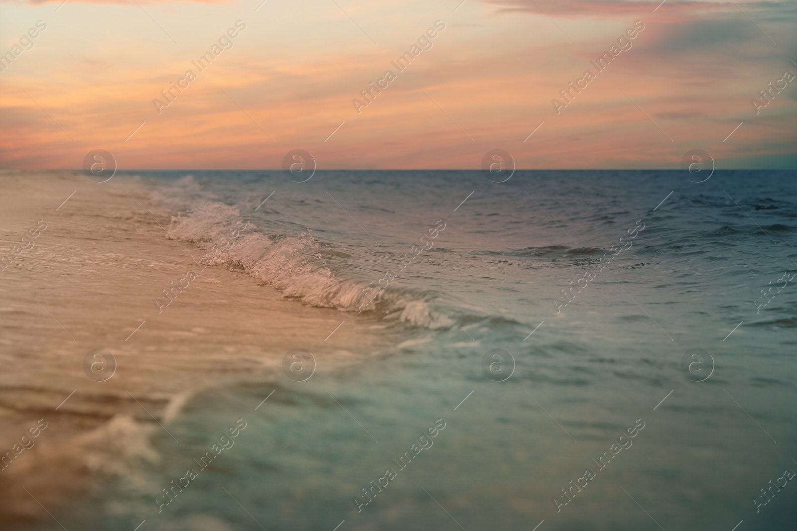 Image of Ocean waves rolling on sandy beach under sky with clouds at sunset, closeup