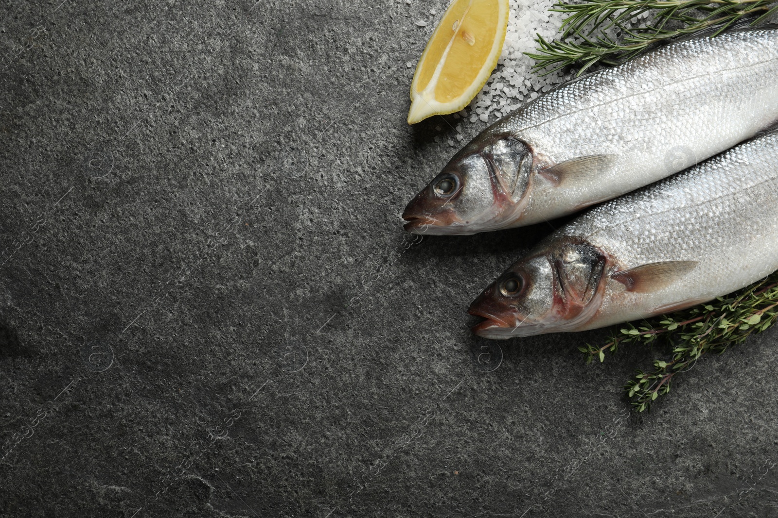 Photo of Tasty sea bass fish and spices on grey textured table, flat lay. Space for text