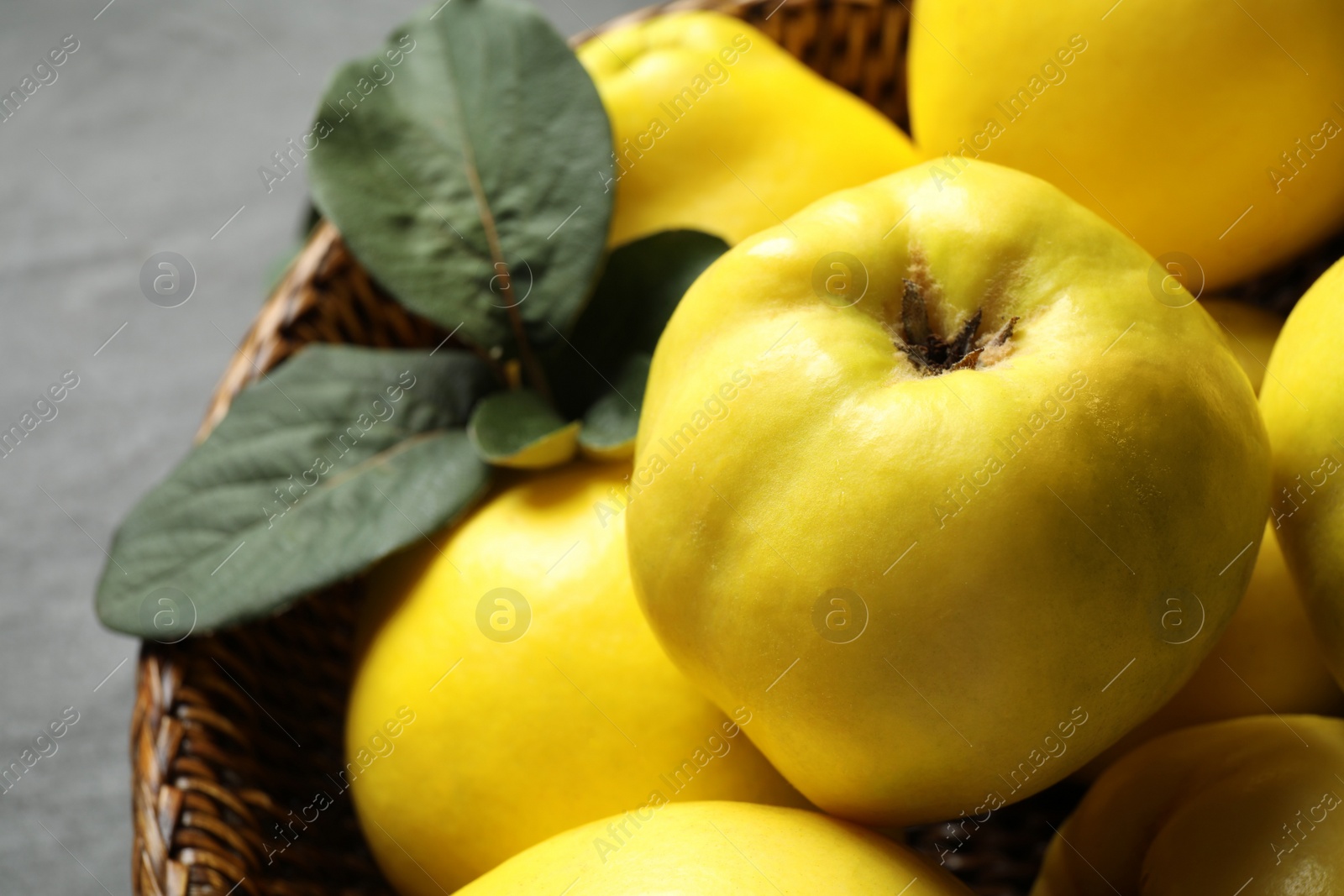 Photo of Fresh ripe organic quinces with leaves, closeup