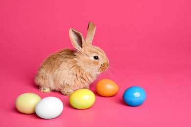 Photo of Adorable furry Easter bunny and dyed eggs on color background, space for text