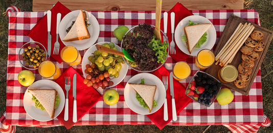 Picnic table with snacks and drinks in park, top view. Banner design