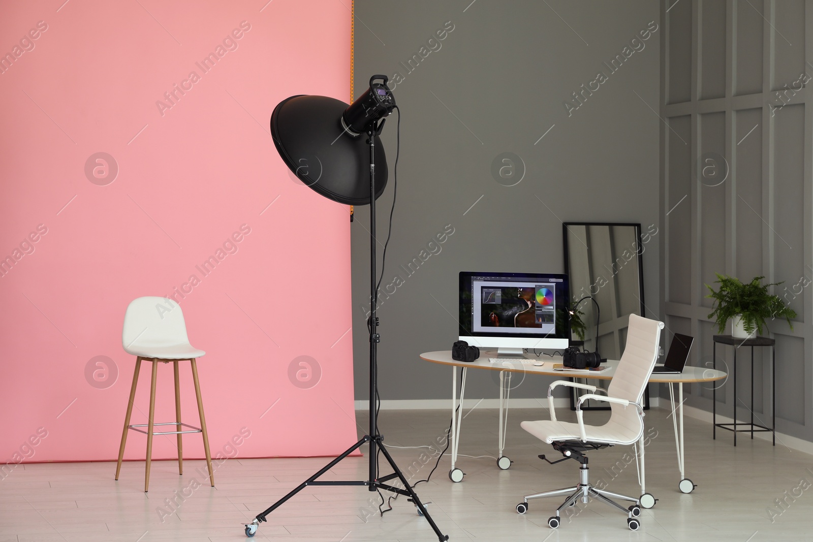 Photo of Pink photo background, workplace and professional lighting equipment in modern studio