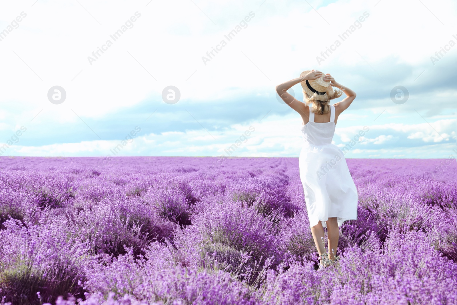 Photo of Young woman in lavender field on summer day