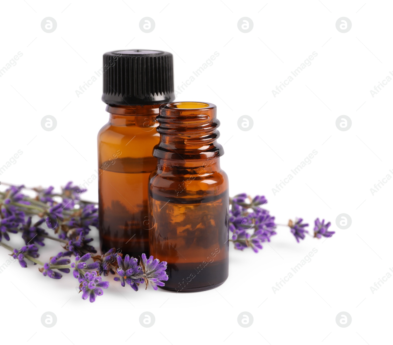 Photo of Essential oil and lavender flowers on white background