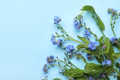 Photo of Beautiful blue forget-me-not flowers on turquoise background, flat lay. Space for text