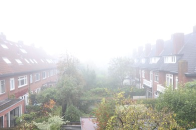 Beautiful buildings and trees in fog outdoors