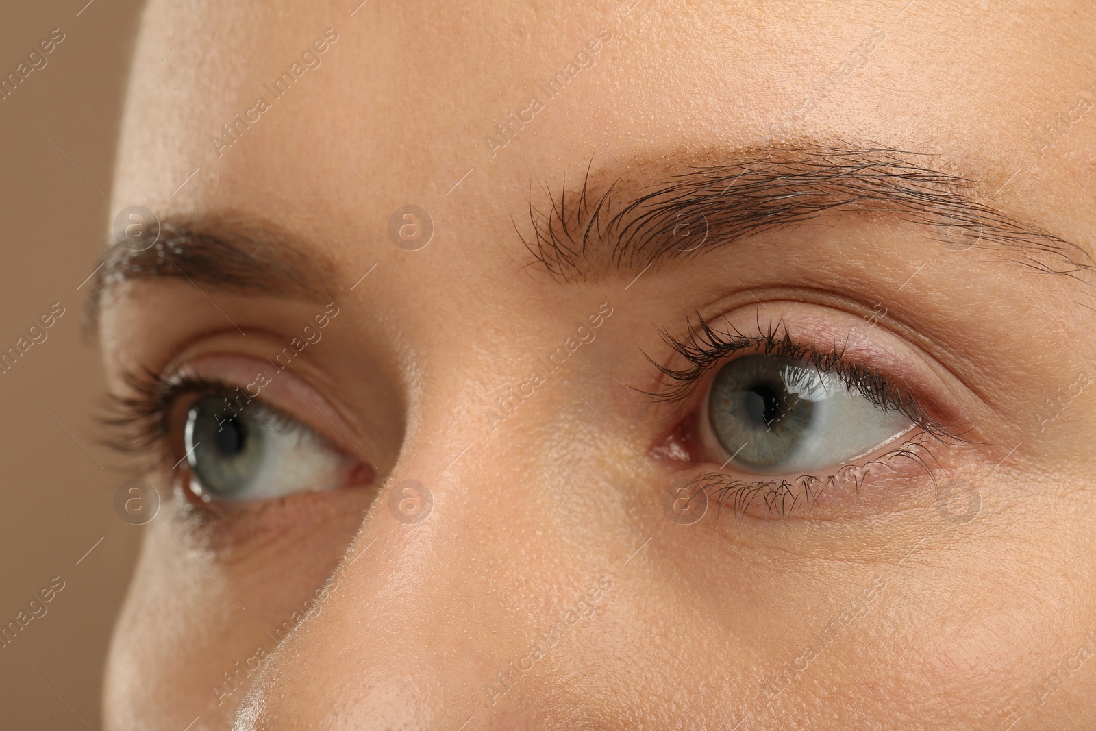 Photo of Woman with beautiful natural eyelashes on light brown background, closeup