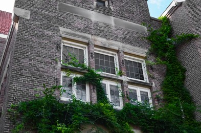 Brick building overgrown with green creeper plant outdoors, low angle view