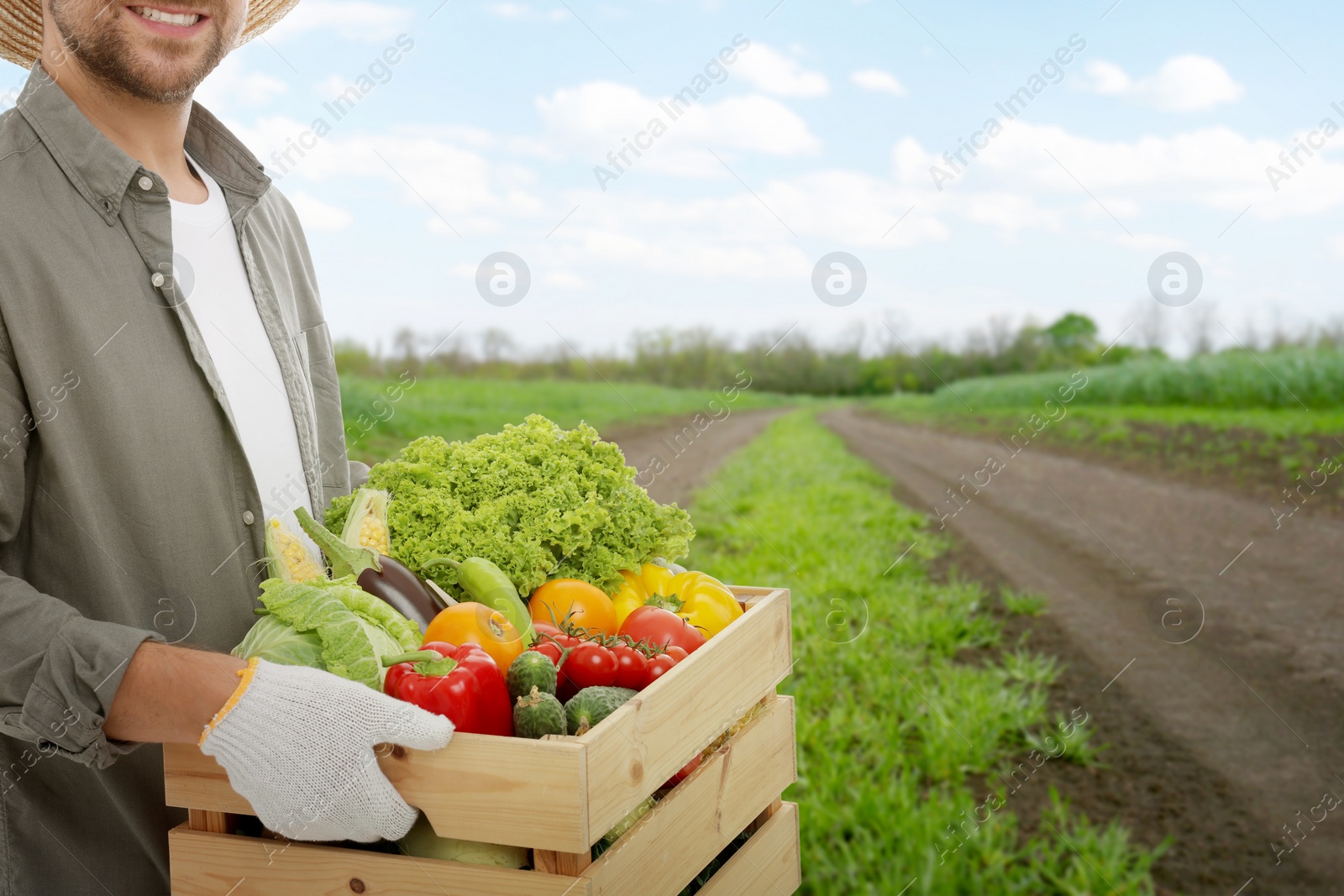 Image of Harvesting season. Farmer holding wooden crate with crop in field, closeup