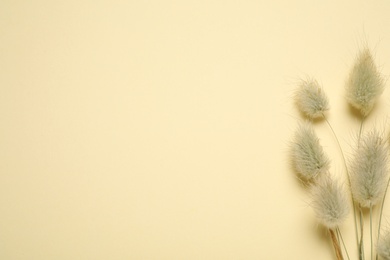 Photo of Bouquet of dried flowers on beige background, flat lay. Space for text