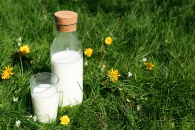 Photo of Glass and bottle of fresh milk on green grass outdoors. Space for text