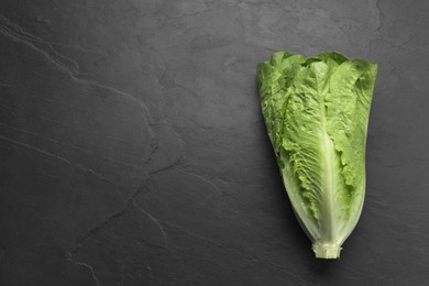 Fresh green romaine lettuce on dark table, top view. Space for text