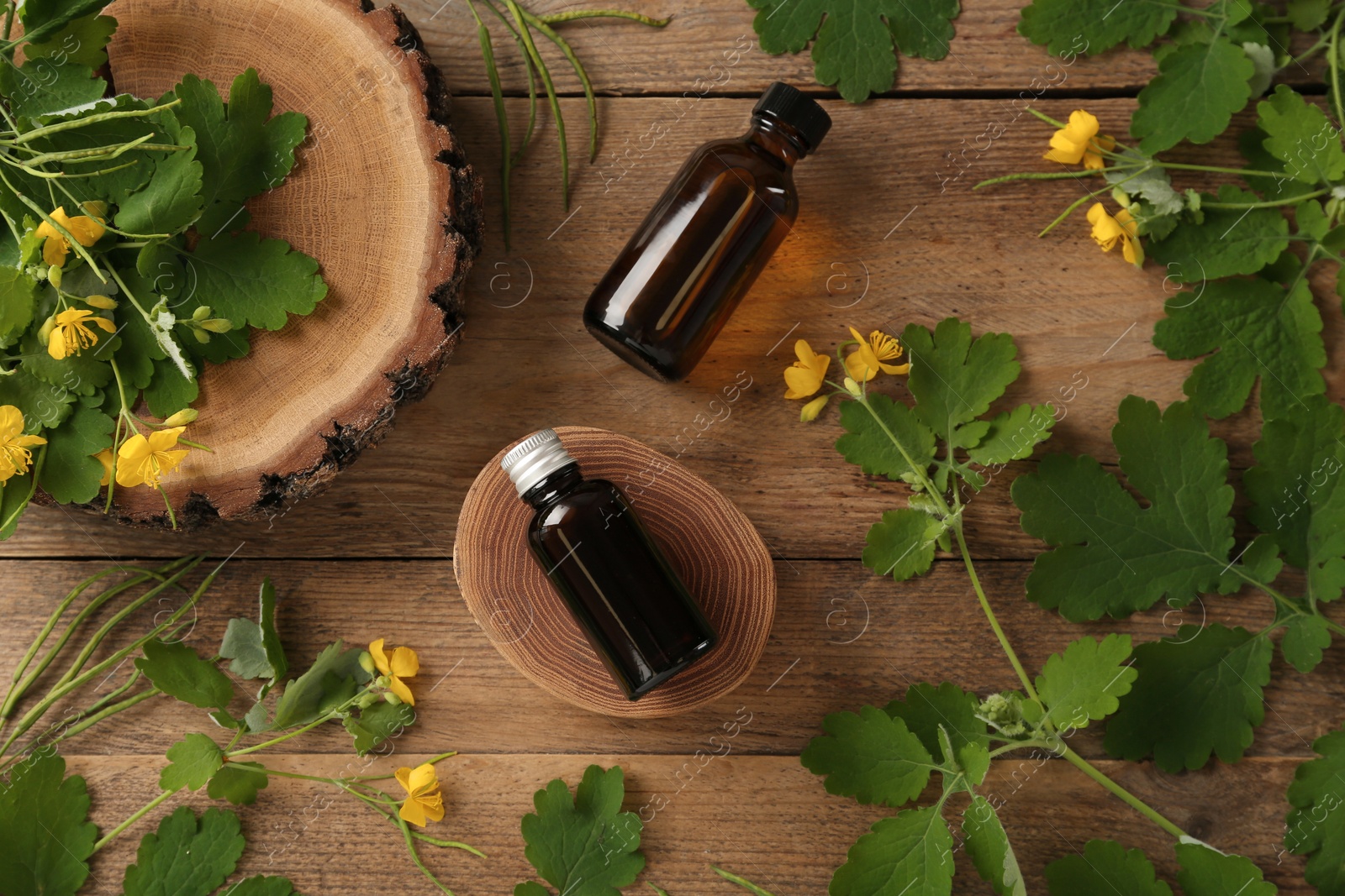 Photo of Bottles of celandine tincture and plant on wooden table, flat lay