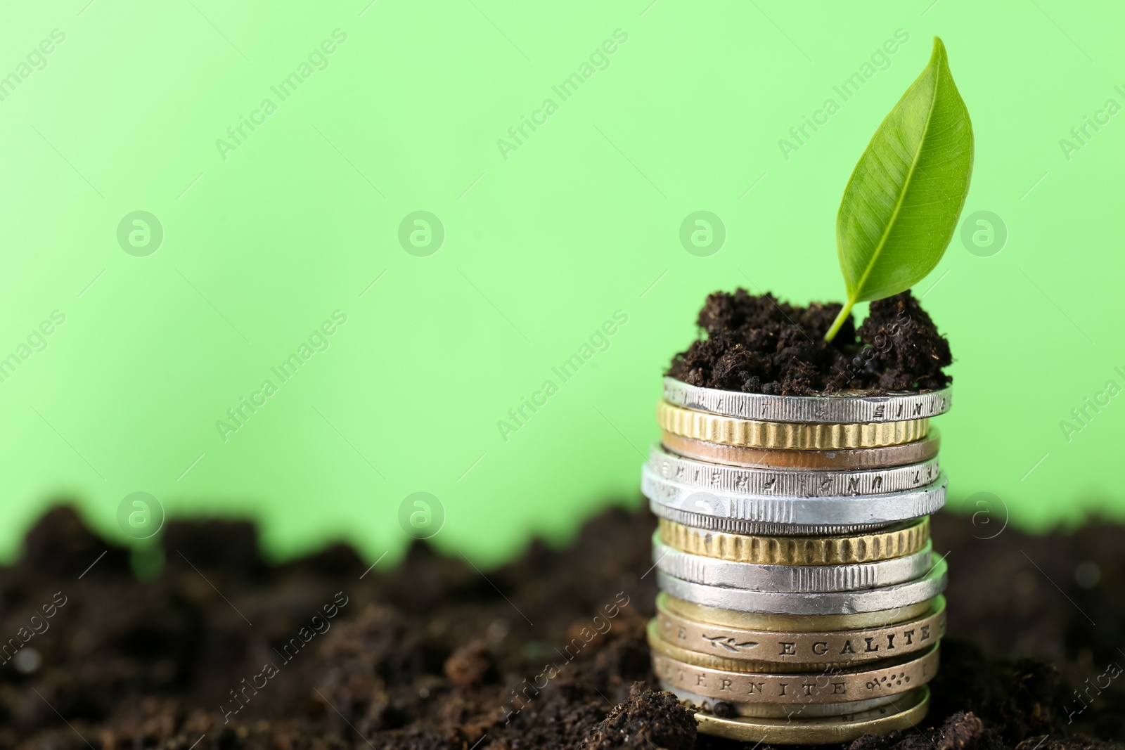 Photo of Stack of coins and green plant on soil against blurred background, space for text. Profit concept